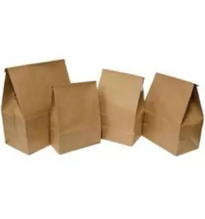 Saco de papel kraft (delivery)